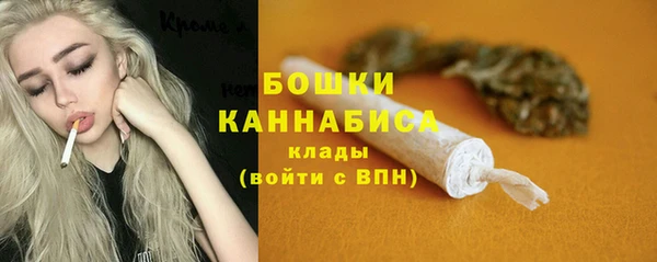 прущие грибы Арсеньев