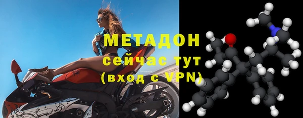 прущие грибы Арсеньев