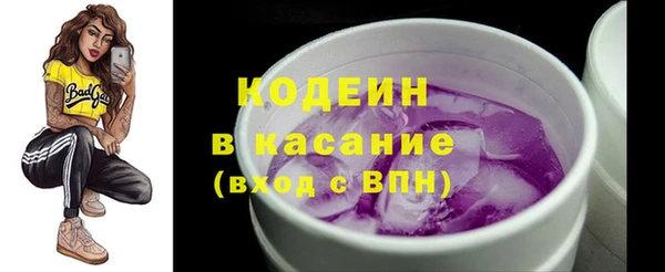 прущие грибы Арсеньев