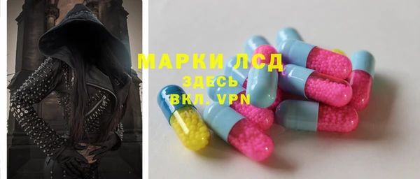 стаф Аркадак
