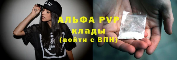прущие грибы Арсеньев