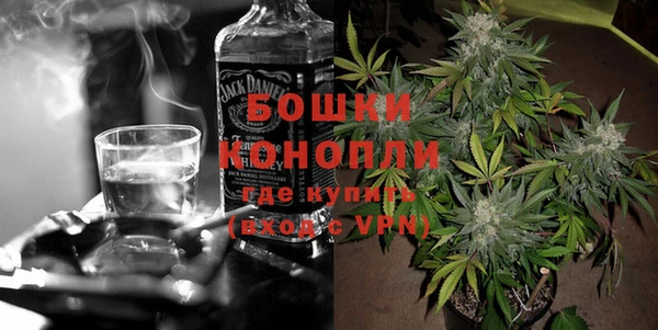стаф Аркадак