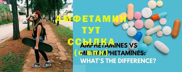 стаф Аркадак