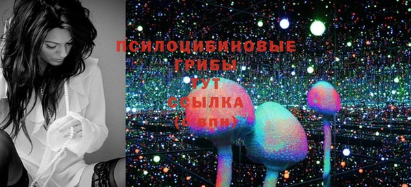 стаф Аркадак