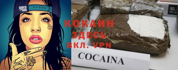 стаф Аркадак