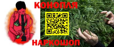 дмт Нальчик
