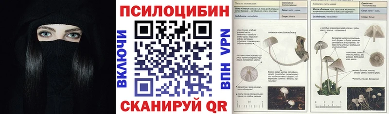Псилоцибиновые грибы Psilocybe  mega tor  Новый Уренгой 