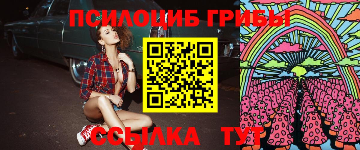 Псилоцибиновые грибы Cubensis Новый Уренгой