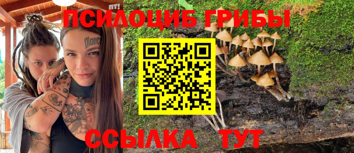 Псилоцибиновые грибы мицелий  Вход с VPN  Галлюциногенные грибы Cubensis  Новый Уренгой 