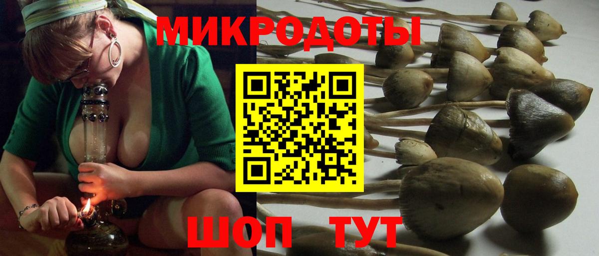 купить закладку  Вход с VPN  Новый Уренгой  Галлюциногенные грибы MAGIC MUSHROOMS  Галлюциногенные грибы Psilocybe 