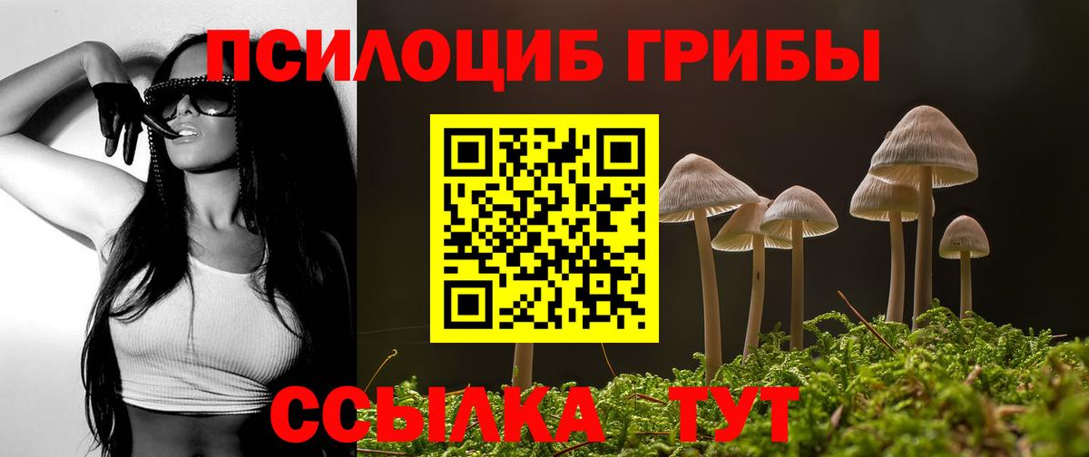 Псилоцибиновые грибы Psilocybine cubensis Новый Уренгой